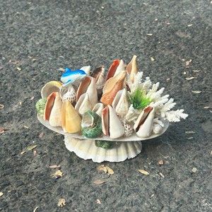 Seashell Handicraft polished seashell material for wall decor and table ornament coastal decoration Vietnam origin - Product Image 3