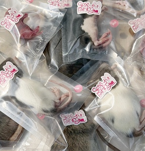 Rata Congelada para Alimentación de Aves 3XS 7-13g – Envasada Individualmente |   Enriquecido con Probióticos - Product Image 4