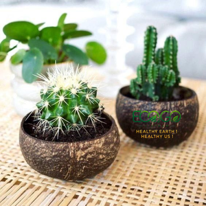 Macetas Ecológicas de Cáscara de Coco Creativas de Tamaño Personalizado |   Macetas de Coco Hechas a Mano para Venta al por Mayor, Decoración de Jardín y Hogar - Product Image 3