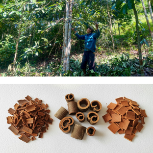 Prix de gros, meilleur prix, cannelle brisée de qualité supérieure, fabrication vietnamienne, norme internationale, emballage personnalisé - Product Image 5