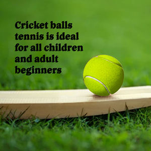 Pelota de Tenis de Alta Calidad Personalizada con Logotipo Promocional para Entrenamiento y Práctica de Cricket, de Caucho Natural, Alto Rebote y Duradera - Product Image 5