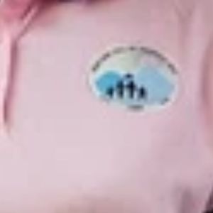 เสื้อโปโลผู้หญิงสีชมพู คอปกมีลาย แขนสั้น ปักลายที่อก เนื้อผ้านุ่ม สวมใส่สบาย สไตล์ลำลอง/สปอร์ต ขายส่งสำหรับสุภาพสตรี - Product Image 5