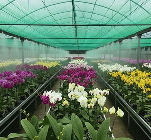 Orchid Net Green Shade Net <b>Plastic</b> <b>Mesh</b> Screen Sun Block Ventilation Net for Greenhouse - Product Image 3