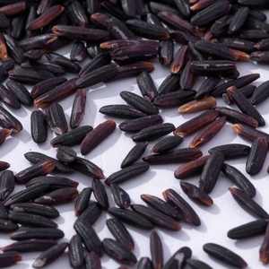 Riz noir naturel en vrac, vente en gros |   Riz superalimentaire sain, sans gluten, riche en nutriments, idéal pour les épiceries et les services de restauration - Product Image 5