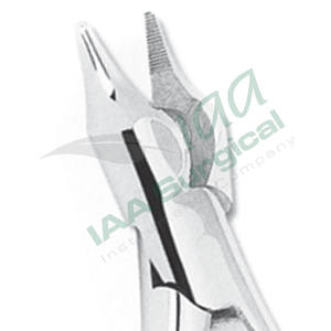 Pinzas de Acero Inoxidable de Calidad Alemana para Remover Bandas Posteriores, Pinzas Dentales con Logotipo Personalizado, Pinzas Médicas - Product Image 5