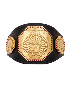 Ceinture de championnat de sport en acier inoxydable personnalisée Surtechs Wholesale avec plaque métallique vierge et logo personnalisé - Product Image 1