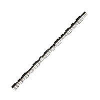 Arbre à cames pour OPEL 16D DA C20 NE 636002-052 636027 636028 636125-126 636129 97111168 97111166 9828655580 5636012 50006313