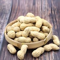 Arachides fraîches biologiques crues séchées saveur originale arôme lacté sac de 25 kg vente en gros