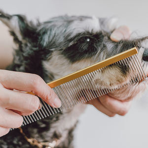 Peigne pour chien personnalisé en acier inoxydable avec poignée en alliage d'aluminium léger et écologique, outil de toilettage pour animaux de compagnie, design tendance et de qualité - Product Image 3