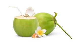 Noix de coco verte jeune de haute qualité, fraîche, provenant de l'agriculture du Ben Tre au Vietnam, avec une durée de conservation de 50 jours, prix abordable - Product Image 3