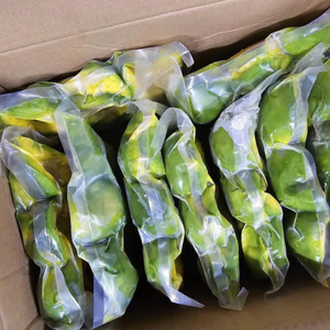 Pulpa de Aguacate Congelada IQF, Seleccionada a Mano, Origen Vietnam, para Repostería Vegana e Ingredientes para Postres Naturales, 99 Gold Data - Product Image 2