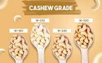 Vietnamese Oorsprong Biologische Pure Geroosterde Cashewnoten - Premium Kwaliteit Hoog Eiwitgehalte Voedsel Groothandel - Snelle Wereldwijde Verzending