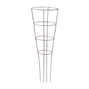 Nueva Tendencia: Soporte de Hierro para Plantas de Jardín, Recubierto en Polvo, Fácil de Montar, para Plantas Trepadoras, Tamaño y Forma Personalizables - Product Image 5