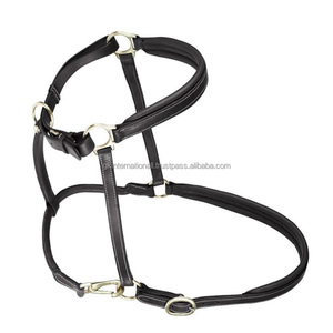 Accessoires personnalisés pour chevaux licou d'équitation fait à la main rembourrage de vache extra doux et coutures contrastées durables licou en cuir pour chevaux - Product Image 5