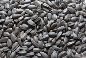 Graines de tournesol de qualité alimentaire CREKS pour la consommation humaine, en vrac, en provenance de Mongolie intérieure - Product Image 6
