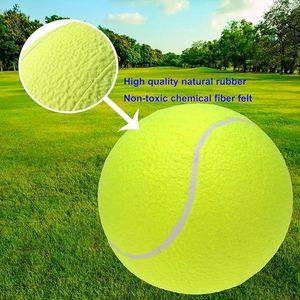 9.5 di grandi dimensioni \ "palla da Tennis gonfiabile per cani Oversize giocattolo per piccoli/medi/grandi animali domestici divertenti per interni/Outdoor giocattolo sportivo grande - Product Image 3