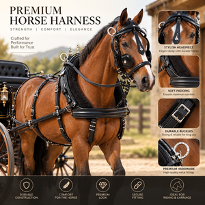 Ensemble de harnais professionnel pour l'équitation |   Harnais de charrette en cuir réglable avec accessoires métalliques pour l'équitation - Product Image 3