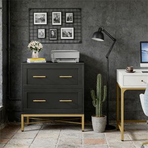 Double <b>Drawer</b> <b>Filing</b> Cabinet Printer Stand and Living Room Storage Cabinet - Product Image 2