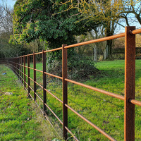 Clôture de jardin extérieure imperméable économique de style britannique, soudée, revêtue de poudre noire, barre plate ronde, clôture de domaine pour villa