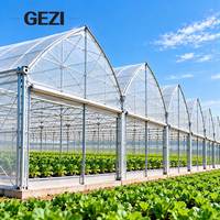 Serre commerciale à arche gothique multi-travées en acier galvanisé avec couverture en film PE pour la culture de légumes, de fleurs et de plantes de pépinière