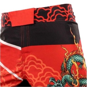 Shorts de combat pour hommes en Spandex/Polyester extensible dans les quatre sens pour Jiu-Jitsu, MMA, Cross Training, Grappling et Muay Thai - Product Image 2