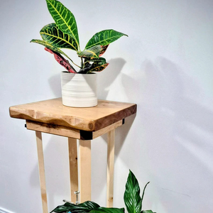 Support à plantes en bois massif bicolore de luxe, support à plantes moderne en bois avec étagère de rangement, support à plantes décoratif pour salon - Product Image 1