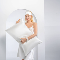 Taie d'oreiller de luxe 100% Soie de Mûrier, Taille Queen, 22 Momme, Double Face, Grade 6A, Fermeture à Enveloppe, Logo Personnalisé, 20 x 30, Pour Maison et Hôtel