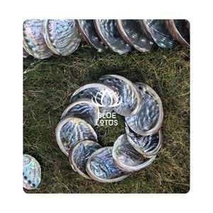 สินค้าขายดี |   เปลือกหอยเป๋าฮื้อสำหรับสะสม ตกแต่งงานศิลปะ และงานฝีมือทำมือจากเวียดนาม - Product Image 1
