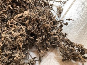 Gelée d'herbe noire séchée - Herbe de Mesona / Liang Fen Cao / Mesona Chinensis Ben Origine Vietnam Durée de conservation de 12 mois - Product Image 5