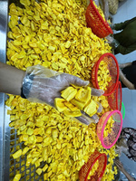 Zoete Gedroogde Jackfruit Gesneden Bulkverpakking Natuurlijke Knapperige Snack Vacuümverpakt 1kg TECHMIFOOD