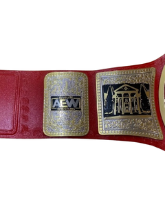 Ceinture de championnat Surtechs AEW TNT en acier inoxydable, réplique manuelle taille adulte, titre de lutte avec plaques de 2 mm - Product Image 5
