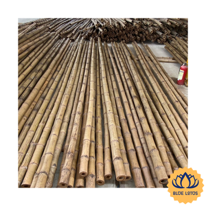 [MEJOR CALIFICADO] |   Poste de Bambú Resistente al por Mayor, Material para Construcción y Proyectos de Bricolaje, Origen Vietnam - Product Image 1