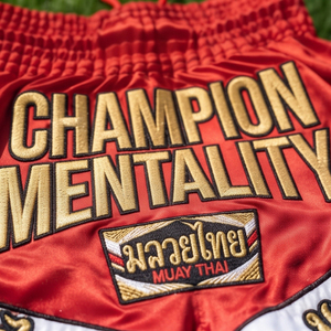 Shorts de Muay Thai en polyester, vente en gros, sublimation personnalisée, entraînement de kickboxing, MMA, vêtements de combat, shorts de Muay Thai, boxe - Product Image 4