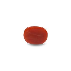 Natural Red Coral Oval Cabochon Loose Gemstone 8.1 Carat Certified Wholesale - Product Image 2