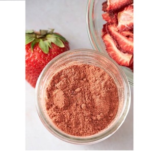 Poudre de fraises déshydratées de qualité supérieure, naturelle et pure, provenant du Rajasthan, Inde, export en vrac à prix de gros - Product Image 1