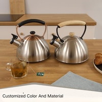 Bouilloire à sifflet en acier inoxydable de 2,5 L, couleur argent, pour cuisinière