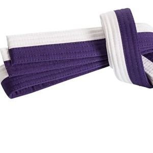Cinturón de Artes Marciales Deportivas Unisex, Transpirable, Elástico, Ligero, de Algodón y Poliéster para Karate, Judo, Aikido, Adultos - Product Image 3