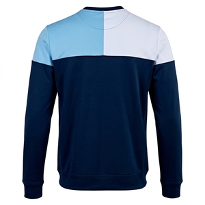 Custom Front Logo 350gsm <b>Lined</b> 100% Polyester <b>Fleece</b> O-Neck Regular Fit Windproof Breathable <b>Sweatshirt</b> Plain Dyed Spring Men - Product Image 2