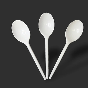 Cucharas Desechables al por Mayor, Ligeras, Hechas en Pakistán, OEM, ODM, Cubiertos con Logotipo Personalizado - Product Image 6