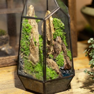 Terrarium décoratif en verre pour plantes d'intérieur, succulentes, mousse, décoration de table pour la maison et le bureau, et article cadeau, vente en gros depuis l'Inde - Product Image 3