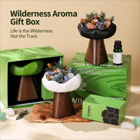 Coffret Cadeau Diffuseur Artistique en Pierre pour Aromathérapie, Huile Parfumée et Fleurs Séchées pour la Décoration Moderne de la Maison, de la Chambre et du Bureau