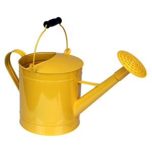 Regadera de Hierro Galvanizado Resistente a la Oxidación con Cabezal de Rociador en Forma de Rosa - Herramienta de Jardinería Decorativa de Estilo Rústico en Bronce Antiguo para Plantas - Product Image 2
