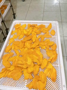 MANGO SECADO EN LONCHAS VENTA ENTERA PRECIO MÁS BARATO PROVEEDOR DE FRUTAS DE LA MEJOR CALIDAD DE VIETNAM/Sra. Lucinda - Product Image 3