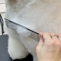 Ciseaux de toilettage pour animaux de compagnie en acier inoxydable japonais de 230 mm avec dents étroites/larges pour démêler les poils de chien et de chat, lot en vrac