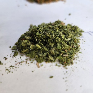 5.สมุนไพรที่อุดมไปด้วยสีเขียวผสมบุหรี่กลิ้งสมุนไพรผ่อนคลายสมุนไพรฝันหญ้าชนิดหนึ่ง damiana ผสมใบไปสมุนไพรกลิ้งสีเขียว - Product Image 4