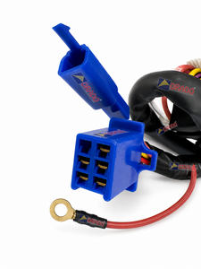 Exportador Indio: Conjunto de Placa de Bobina de Estator de 8 Polos TVS Victor GL GX, Calidad de Exportación, Repuestos para Vehículos de Dos Ruedas Disponibles para la Venta - Product Image 4