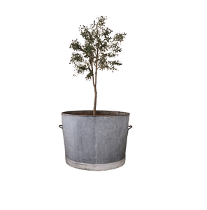 Jardinière murale en zinc galvanisé, décoration de jardin style farmhouse, pots à fleurs en métal pour extérieur et intérieur - Product Image 1