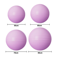 Ballon de yoga en PVC épais anti-éclatement pour enfants, entraînement d'intégration sensorielle, ballon de fitness pour bureau, équipement d'exercice de gym - Vente en gros