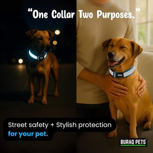 Max Reflective Dog <b>Collar</b> OEM ODM Custom Logo Adjustable Nylon Pet <b>Collar</b> Direct Manufacturer - Product Image 5
