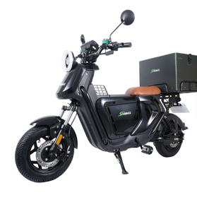 Vélos électriques de ville 800W en stock au Royaume-Uni, vélos de livraison longue portée 250W, trottinettes électriques prêtes à être expédiées depuis l'entrepôt britannique - Product Image 2